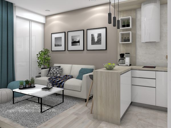 Apartment design